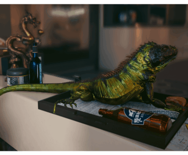 The Iguana proves there is no hurry in the story