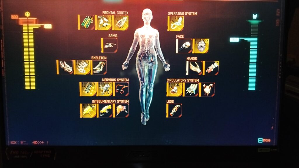 Is this enough for Maiko and her doll chip?