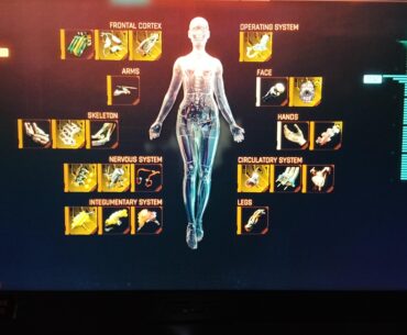 Is this enough for Maiko and her doll chip?