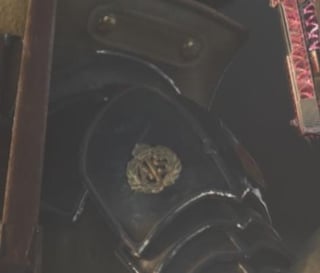 Strange detail about the Cavalier skin.