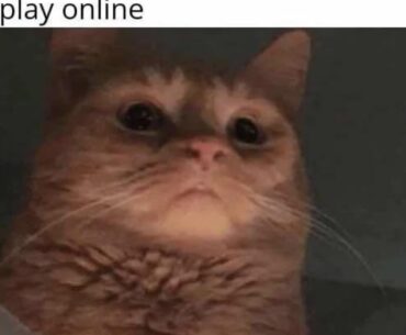 Your Internet but rented