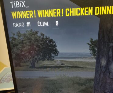 Did the game put me in a game full of bot or level one?