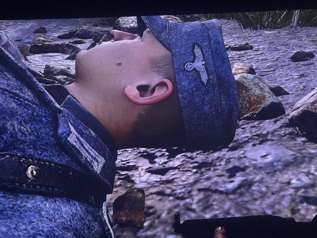 Why has the swastika been replaced by an iron crossed in campaign?