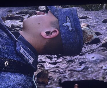 Why has the swastika been replaced by an iron crossed in campaign?