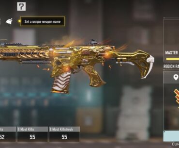 Hardly use this gun but my lord is it a gem(leaderboard grind here I come)