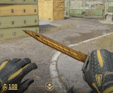 Looking to trade Omega Sport Gloves MW/Bayo TT FN