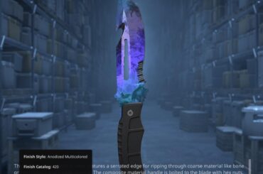 First knife, I love it