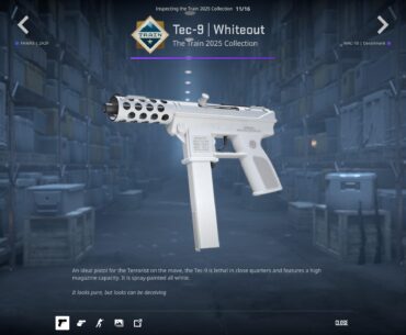 🗣️ medal clip that (mw whiteout from armory)