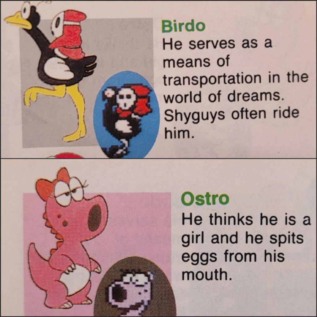 Mario Bros misprint