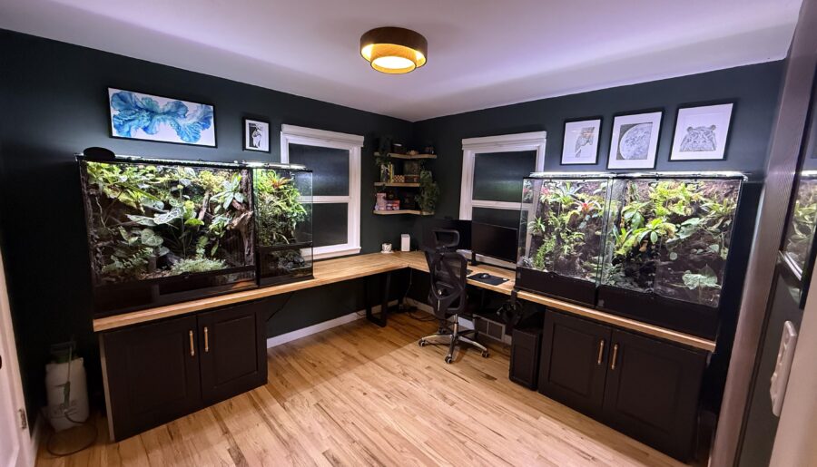 Last year I renovated my offfice to incorporate my terrariums and computer station