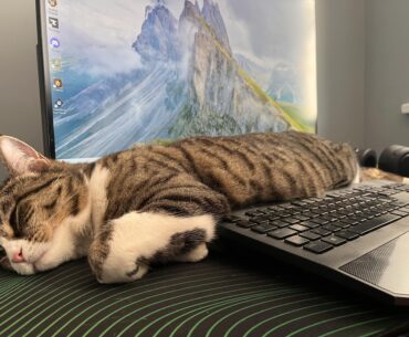 How to improve setup.