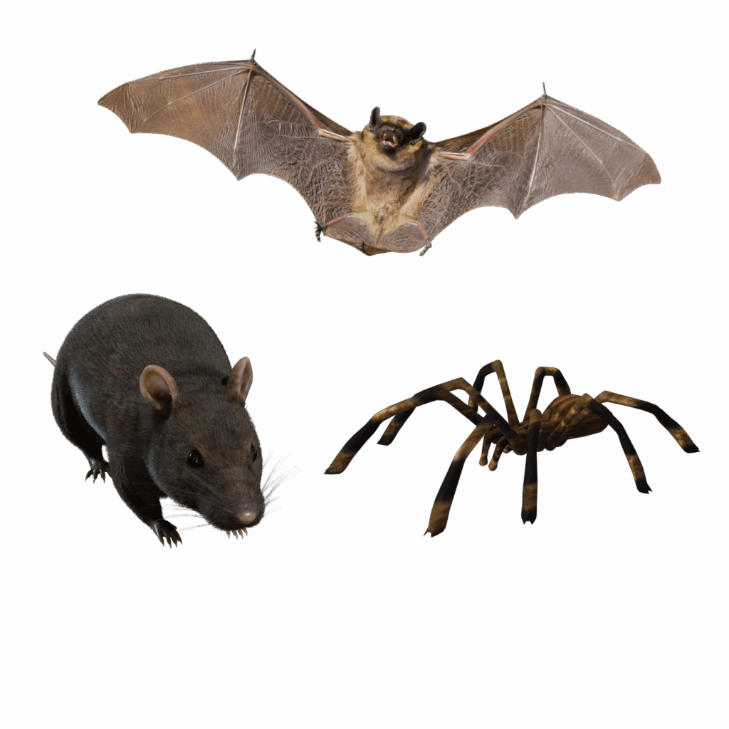 The "We don't need to be a threat to the player but be mildly annoying" video game enemy trio