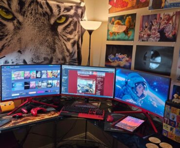 A few pics of my current station. I have a thing for hardware and peripherals that come in red. Other than that, no particular theme.