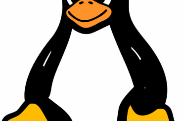 Hey, what Linux distro do you guys recommend for my low end (Ryzen 5, 30 series) work/gaming PC?
