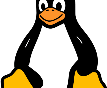 Hey, what Linux distro do you guys recommend for my low end (Ryzen 5, 30 series) work/gaming PC?
