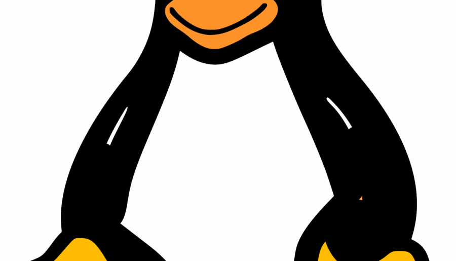 Hey, what Linux distro do you guys recommend for my low end (Ryzen 5, 30 series) work/gaming PC?