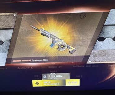 Everyone owns a maxed out weapon?