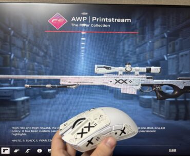 Mouse | Printstream