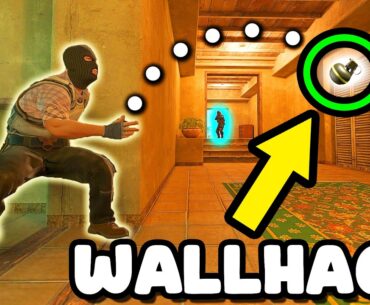 0.001% NEW NADE WALLHACK! - CS2 BEST MOMENTS #141
