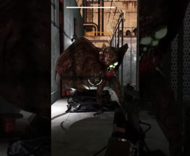 Trepang 17 #peskoli #Trepang2 #PandoraBoss  #FPS #Gaming #BossFight #CallOfDuty