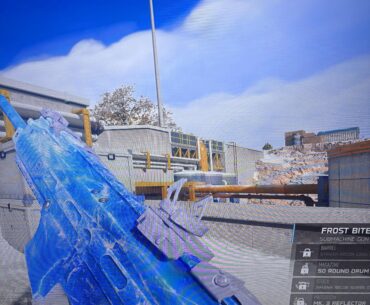 Anybody know what weapon this is ??