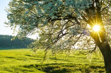 When you touch grass