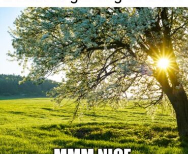When you touch grass