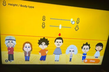 My girlfriend made Richthofen on tomodachi