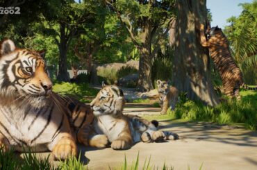Planet Zoo 2 Coming This Year, Featuring Aquatic and Flying Animals