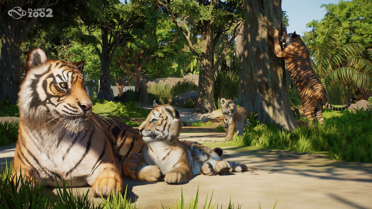 Planet Zoo 2 Coming This Year, Featuring Aquatic and Flying Animals Planet Zoo 2 Coming This Year, Featuring Aquatic and Flying Animals