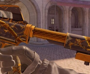 The Golden Coil feels neglected right now- it’s pixelated, low-res, and frankly broken. Please update the skin and make it look like it should.🔁and share to get the attention needed to make a change for this OG beast