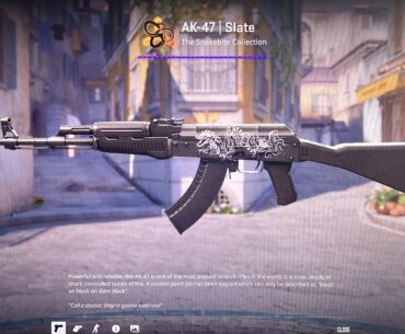 Ak-47 slate white dragon