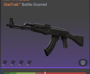 AK Slate Stattrack BS in a rare float?