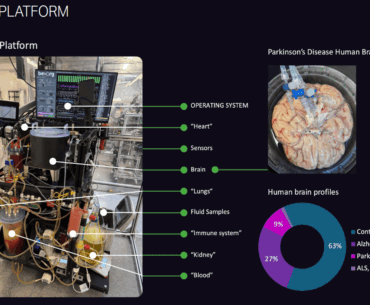 BrainEx: Keeping your brain alive to test drugs post-mortem