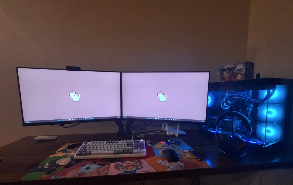 Dual monitor advice