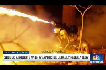 Lawmakers in Albany NY: Should NY ban robots from carrying flamethrowers and firearms?