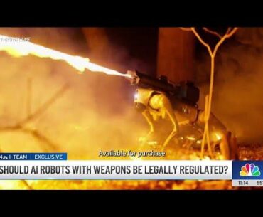 Lawmakers in Albany NY: Should NY ban robots from carrying flamethrowers and firearms?
