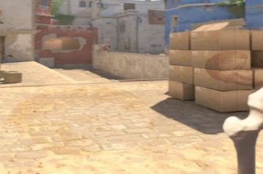 pov: you’ve flashed the whole team on Mid