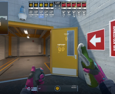 Observers can now adjust the intensity of the Flashbang Effect thanks to HLAE‼️💥