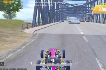 Room Temperature IQ Bridge Camping Squad Vs BusyCat