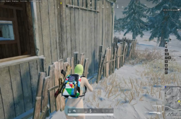Pretty Wild Game