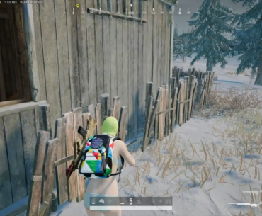 Pretty Wild Game