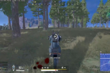 Hitting them trees