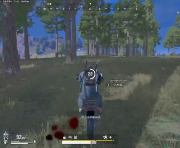 Hitting them trees