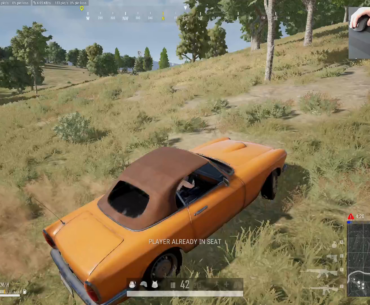 single digit IQ beavior