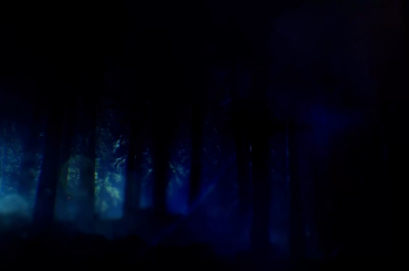 Has anyone else ever noticed the hole under this tree?
