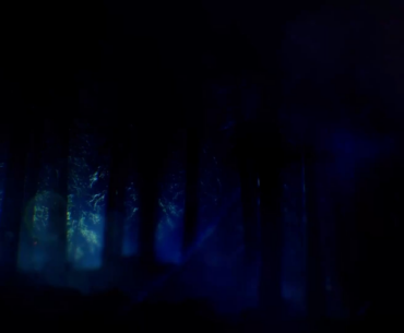 Has anyone else ever noticed the hole under this tree?