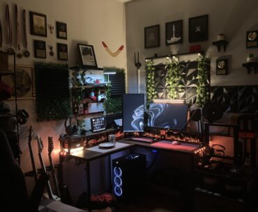 My L shaped desk setup