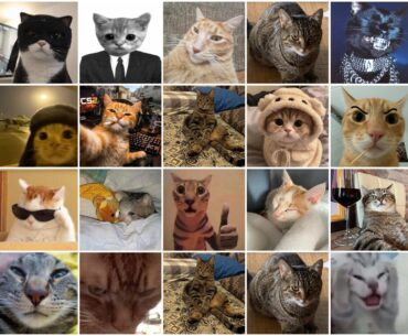 The Cats of Counter Strike