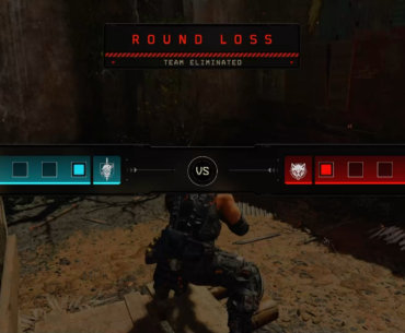 Never seen this camo before. Is it accidentally glitched or intentionally glitched?